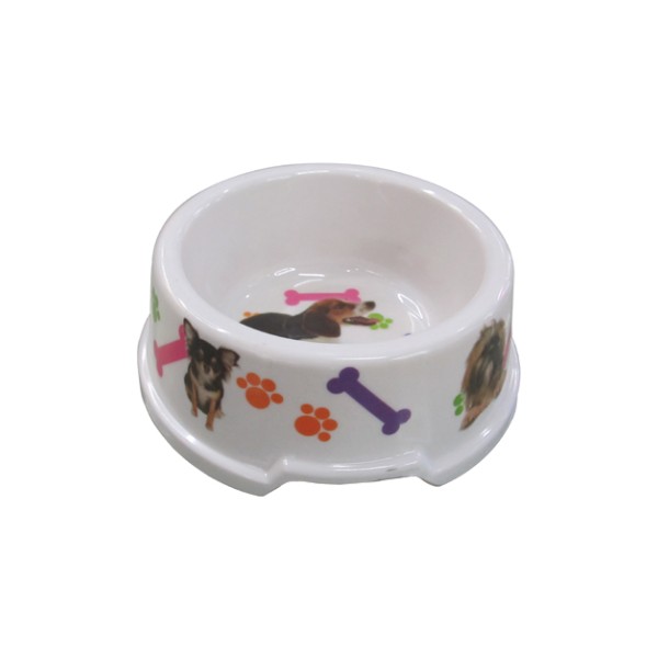 Cheap dog saucer [10501416]